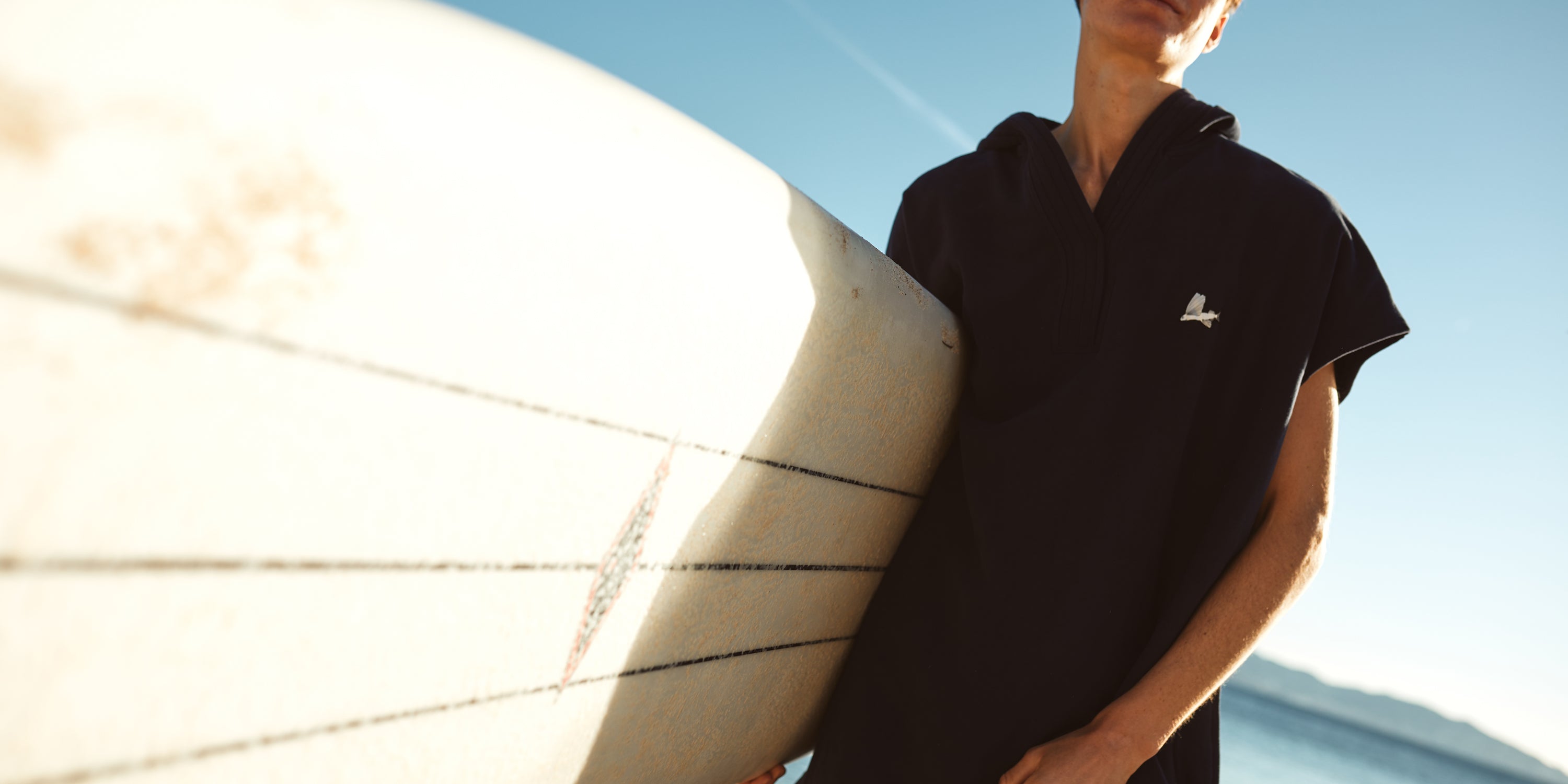 Liquid error (sections/product-banner line 29): input to image_tag must be an image_url