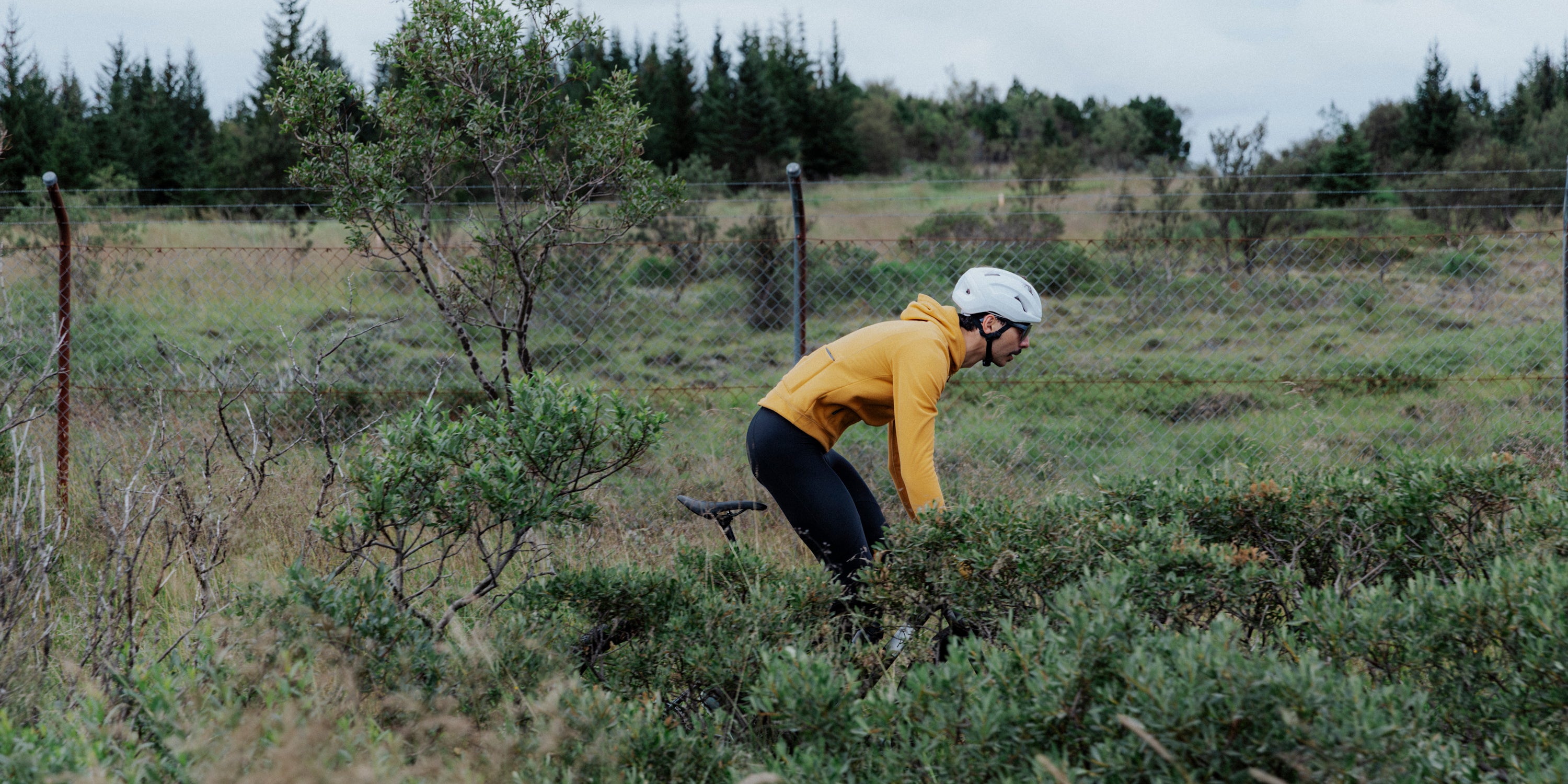 Liquid error (sections/product-banner line 29): input to image_tag must be an image_url