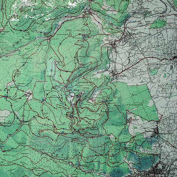 Born to Ride with Team Détente