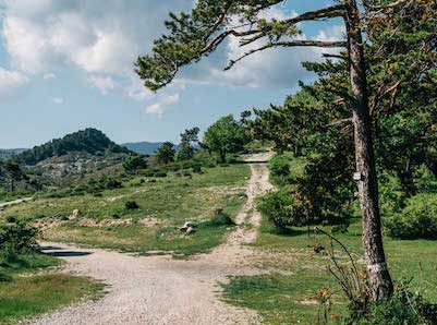 Die Radsport-Touren von Nizza: Fahren der Aussichten wegen – der Mont Chauve