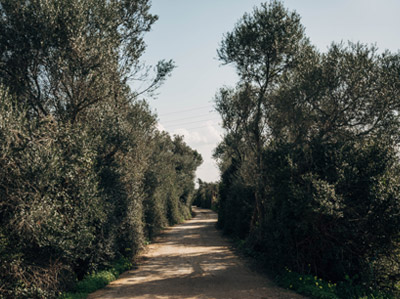 GRAVEL RIDES ON MALLORCA – FROM SAND TO DUST