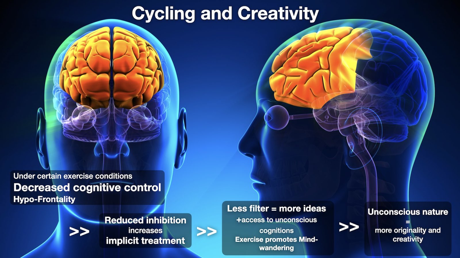 Cycling & Creativity