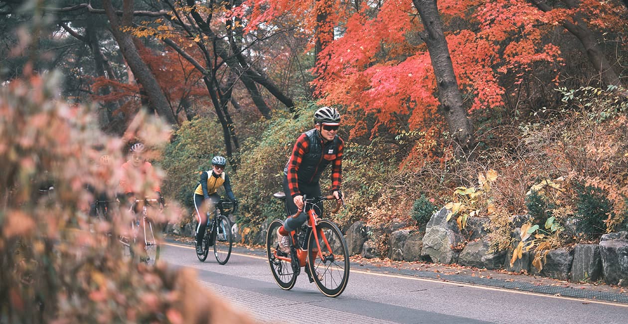 Autumn colours of Seoul